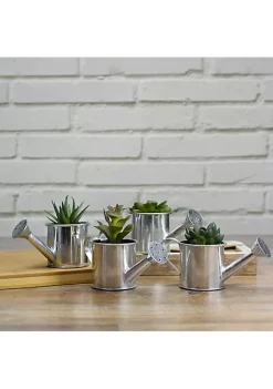 Outlet Northlight Store -Outlet Northlight Store Belk 2038