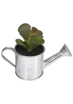 Hot Sale ✔️ Northlight 6" Tropical Atlantis Artificial Succulent in Water Can ✔️ -Outlet Northlight Store Belk 2039