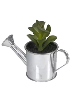 Hot Sale ✔️ Northlight 6" Tropical Atlantis Artificial Succulent in Water Can ✔️ -Outlet Northlight Store Belk 2040