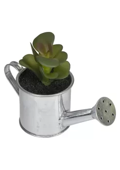 Hot Sale ✔️ Northlight 6" Tropical Atlantis Artificial Succulent in Water Can ✔️ -Outlet Northlight Store Belk 2041
