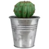 Best deal 👍 Northlight 3.5" Tropical Mini Artificial Cactus with Tin Pot ✨ 2 Best deal 👍 Northlight 3.5" Tropical Mini Artificial Cactus with Tin Pot ✨ -Outlet Northlight Store Belk 2042