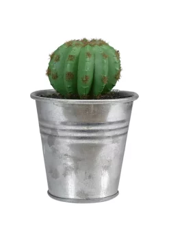 Best deal 👍 Northlight 3.5" Tropical Mini Artificial Cactus with Tin Pot ✨