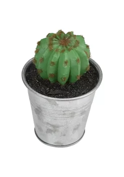 Best deal 👍 Northlight 3.5" Tropical Mini Artificial Cactus with Tin Pot ✨ -Outlet Northlight Store Belk 2044