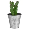 Brand new ❤️ Northlight 5" Tropical Mini Artificial Cactus in Tin Pot 😉 -Outlet Northlight Store Belk 2050