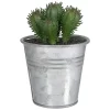 Brand new 🎉 Northlight 3.5" Tropical Mini Artificial Cactus in Tin Pot 🌟