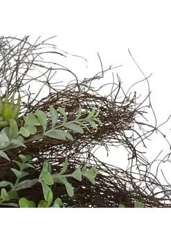 Discount 👍 Northlight Eucalyptus and Succulents Artificial Twig Wreath - 22-Inch 💯 -Outlet Northlight Store Belk 207