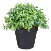 Hot Sale 😍 Northlight 7.5" Potted Green Artificial Boxwood Plant ✨ -Outlet Northlight Store Belk 213