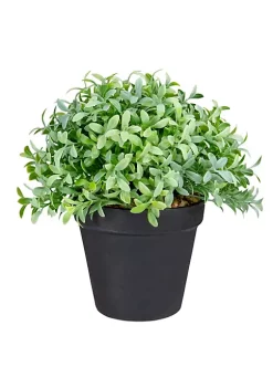 Hot Sale 😍 Northlight 7.5" Potted Green Artificial Boxwood Plant ✨ -Outlet Northlight Store Belk 217