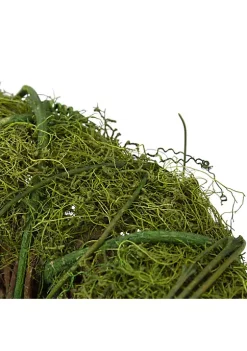 Best reviews of 🌟 Northlight 26" Green and Beige Sitting Gnome 🎁 Christmas Figure 👍 -Outlet Northlight Store Belk 220