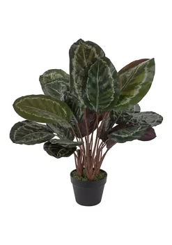 Best Sale 🔔 Northlight 30" Artificial Large Green Leaf Calathea Potted Plant 😀
