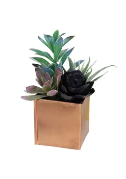 Best deal 😉 Northlight 7" Copper Potted Artificial Mixed Succulent Arrangement 👍