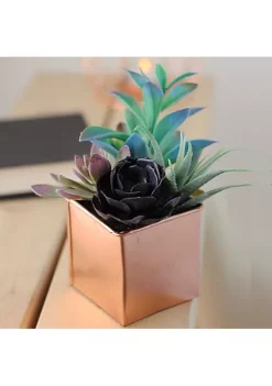 Best deal 😉 Northlight 7" Copper Potted Artificial Mixed Succulent Arrangement 👍 -Outlet Northlight Store Belk 262