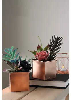 Best deal 😉 Northlight 7" Copper Potted Artificial Mixed Succulent Arrangement 👍 -Outlet Northlight Store Belk 263