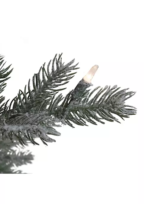 Top 10 ๐ Northlight 9' Pre-Lit Flocked Jasper Balsam Fir Artificial ๐ Christmas Tree - Clear Lights โค๏ธ 4 Top 10 ๐ Northlight 9' Pre-Lit Flocked Jasper Balsam Fir Artificial ๐ Christmas Tree - Clear Lights โค๏ธ - Image 2