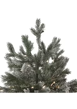 Top 10 ๐ Northlight 9' Pre-Lit Flocked Jasper Balsam Fir Artificial ๐ Christmas Tree - Clear Lights โค๏ธ 9 Top 10 ๐ Northlight 9' Pre-Lit Flocked Jasper Balsam Fir Artificial ๐ Christmas Tree - Clear Lights โค๏ธ -Outlet Northlight Store Belk 275