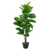 Hot Sale 👍 Northlight 51" Artificial Green and Brown Potted Rubber Plant 🤩 -Outlet Northlight Store Belk 310