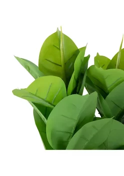 Hot Sale 👍 Northlight 51" Artificial Green and Brown Potted Rubber Plant 🤩 -Outlet Northlight Store Belk 312