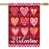 Cheap 🤩 Northlight Be My Valentine Plaid and Heart Outdoor House Flag 28" x 40" ❤️