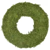Top 10 ❤️ Northlight 13.7" Reindeer Moss Artificial Floral Spring Wreath - Unlit 🧨 -Outlet Northlight Store Belk 32