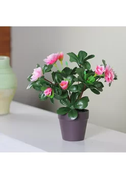Discount 🤩 Northlight 8" Pink Blooming Potted Artificial Rose Plant 😉 -Outlet Northlight Store Belk 326