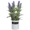 Best reviews of 🛒 Northlight 11" Artificial Lavender Arrangement in White Tin Can ✨ -Outlet Northlight Store Belk 332