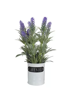 Best reviews of 🛒 Northlight 11" Artificial Lavender Arrangement in White Tin Can ✨