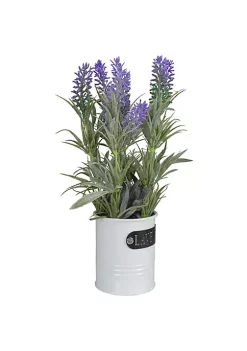 Best reviews of 🛒 Northlight 11" Artificial Lavender Arrangement in White Tin Can ✨ -Outlet Northlight Store Belk 334
