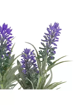 Best reviews of 🛒 Northlight 11" Artificial Lavender Arrangement in White Tin Can ✨ -Outlet Northlight Store Belk 335