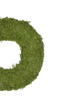 Top 10 ❤️ Northlight 13.7" Reindeer Moss Artificial Floral Spring Wreath - Unlit 🧨 -Outlet Northlight Store Belk 34