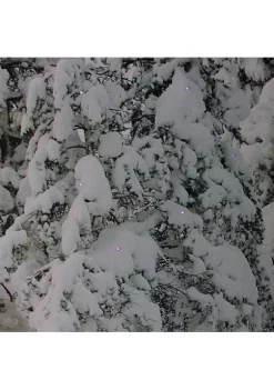 Best deal 🎁 Northlight Fiber Optic Lighted Santa in His Sleigh Canvas Wall Art 15.75" x 23.5" 😀 -Outlet Northlight Store Belk 345