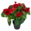 Promo ⭐ Northlight 11" Red Potted Silk Begonia Spring Artificial Floral Arrangement 😍 -Outlet Northlight Store Belk 352