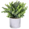 Cheap 🤩 Northlight 9" Green Artificial Eucalyptus in a Marble Style White Pot ✨