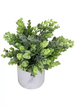 Cheap 🤩 Northlight 9" Green Artificial Eucalyptus in a Marble Style White Pot ✨ -Outlet Northlight Store Belk 389