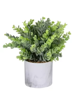 Cheap 🤩 Northlight 9" Green Artificial Eucalyptus in a Marble Style White Pot ✨ -Outlet Northlight Store Belk 390