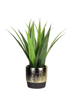 Discount 💯 Northlight 17" Green and Gold Artificial Agave Succulent Plant in a Pot 👏