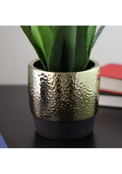 Discount 💯 Northlight 17" Green and Gold Artificial Agave Succulent Plant in a Pot 👏 -Outlet Northlight Store Belk 414