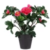 Outlet 😉 Northlight 7.5” Pink Potted Artificial Spring Rose Plant 👍