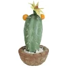 Best reviews of 🥰 Northlight 12” Green Potted Southwestern Style Artificial Cactus Plant with Flowers 👍