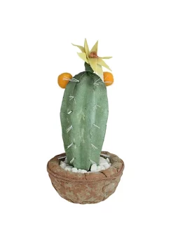 Best reviews of 🥰 Northlight 12” Green Potted Southwestern Style Artificial Cactus Plant with Flowers 👍