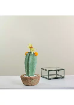Best reviews of 🥰 Northlight 12” Green Potted Southwestern Style Artificial Cactus Plant with Flowers 👍 -Outlet Northlight Store Belk 427