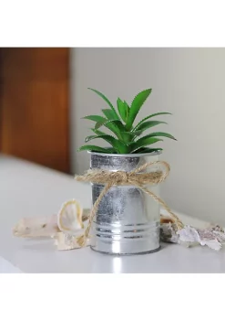 Outlet 🤩 Northlight 6" Green Tropical Artificial Mini Potted Plant ❤️ -Outlet Northlight Store Belk 438