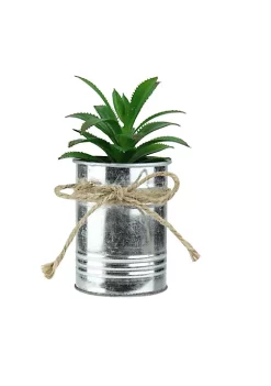 Outlet 🤩 Northlight 6" Green Tropical Artificial Mini Potted Plant ❤️ -Outlet Northlight Store Belk 439
