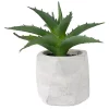 Discount ❤️ Northlight 6" Artificial Potted Aloe Succulent in Cement Pot 🔔