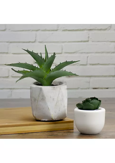 Discount ❤️ Northlight 6" Artificial Potted Aloe Succulent in Cement Pot 🔔 4 Discount ❤️ Northlight 6" Artificial Potted Aloe Succulent in Cement Pot 🔔 - Image 2