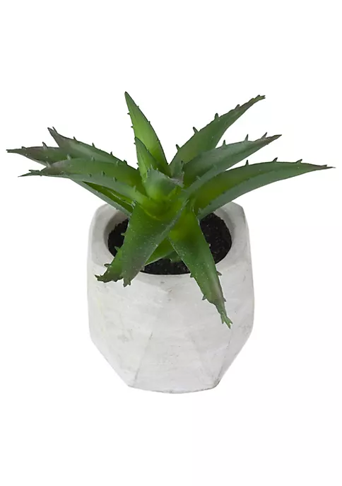 Discount ❤️ Northlight 6" Artificial Potted Aloe Succulent in Cement Pot 🔔 5 Discount ❤️ Northlight 6" Artificial Potted Aloe Succulent in Cement Pot 🔔 - Image 3