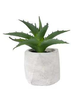 Discount ❤️ Northlight 6" Artificial Potted Aloe Succulent in Cement Pot 🔔 9 Discount ❤️ Northlight 6" Artificial Potted Aloe Succulent in Cement Pot 🔔 -Outlet Northlight Store Belk 443