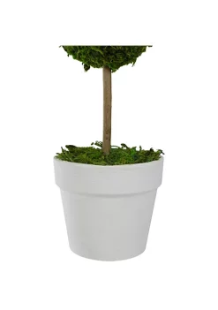 Best deal ๐งจ Northlight 14" Green Reindeer Moss Ball Potted Artificial Spring Topiary Tree ๐ 9 Best deal ๐งจ Northlight 14" Green Reindeer Moss Ball Potted Artificial Spring Topiary Tree ๐ -Outlet Northlight Store Belk 470