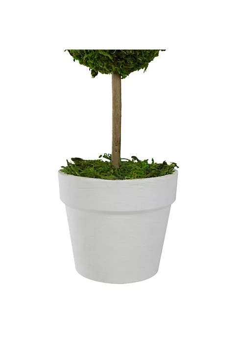 Best deal ๐งจ Northlight 14" Green Reindeer Moss Ball Potted Artificial Spring Topiary Tree ๐ 5 Best deal ๐งจ Northlight 14" Green Reindeer Moss Ball Potted Artificial Spring Topiary Tree ๐ - Image 3