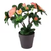 Coupon ๐ Northlight 8โ Orange Potted Artificial Begonia Flower Plant ๐ 1 Coupon ๐ Northlight 8โ Orange Potted Artificial Begonia Flower Plant ๐ -Outlet Northlight Store Belk 476