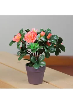 Coupon 😀 Northlight 8” Orange Potted Artificial Begonia Flower Plant 🎁 -Outlet Northlight Store Belk 477